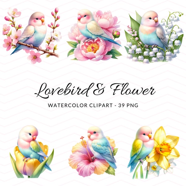 Charming Lovebird Watercolor Clipart - Floral Birds PNGs, Digital Download, Commercial Use, Greeting Cards, Scrapbooking