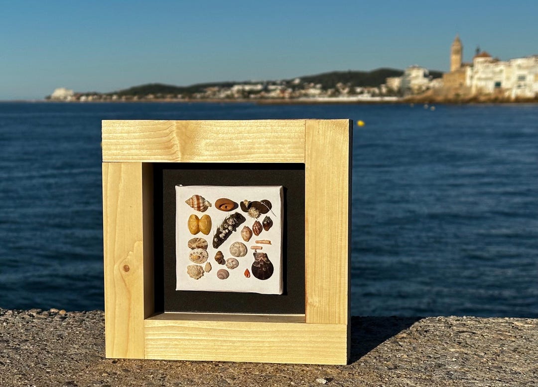 Wooden Frame With Shells, Snails and Sea Pebbles - Etsy