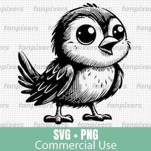 Lindo dibujo de pájaro SVG y PNG, perfecto para uso comercial, descarga digital para camisetas, pegatinas y proyectos de bricolaje.