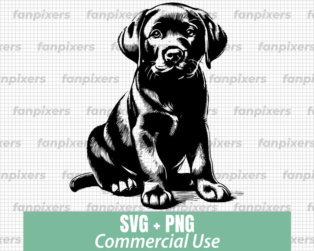 Labrador Retriever Dog SVG PNG, Dog Svg, Labrador Png, Dog Design Svg ...