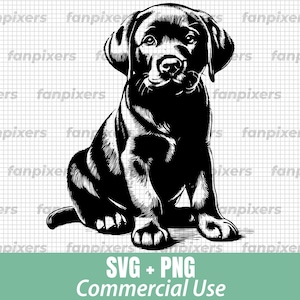Labrador Retriever Dog SVG PNG, Dog Svg, Labrador Png, Dog Design Svg, Dog Png,SVG Files for Cricut, Commercial Use,Instant Digital Download
