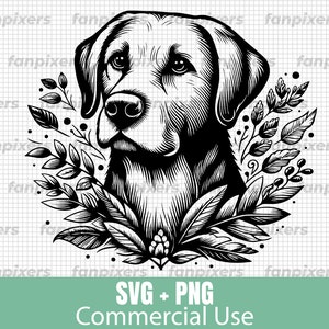 Botanical Labrador Retriever SVG and PNG, cute dog perfect for Commercial Use, Digital Download, stickers, t-shirts, and DIY projects.