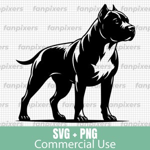 Dog Pitbull SVG and PNG, ideal for Commercial Use. Perfect for DIY projects, digital downloads, stickers, and Cricut crafts.