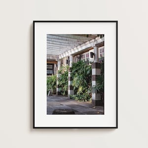 Park and Plants Taiwan Street Photography Fine Art Film Photography Print
