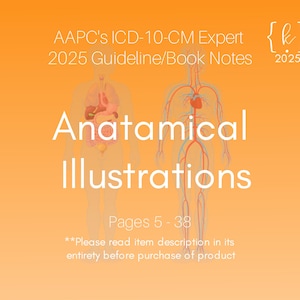 2025 ICD-10-CM Anatomical Illustrations Book Notes (FULL)
