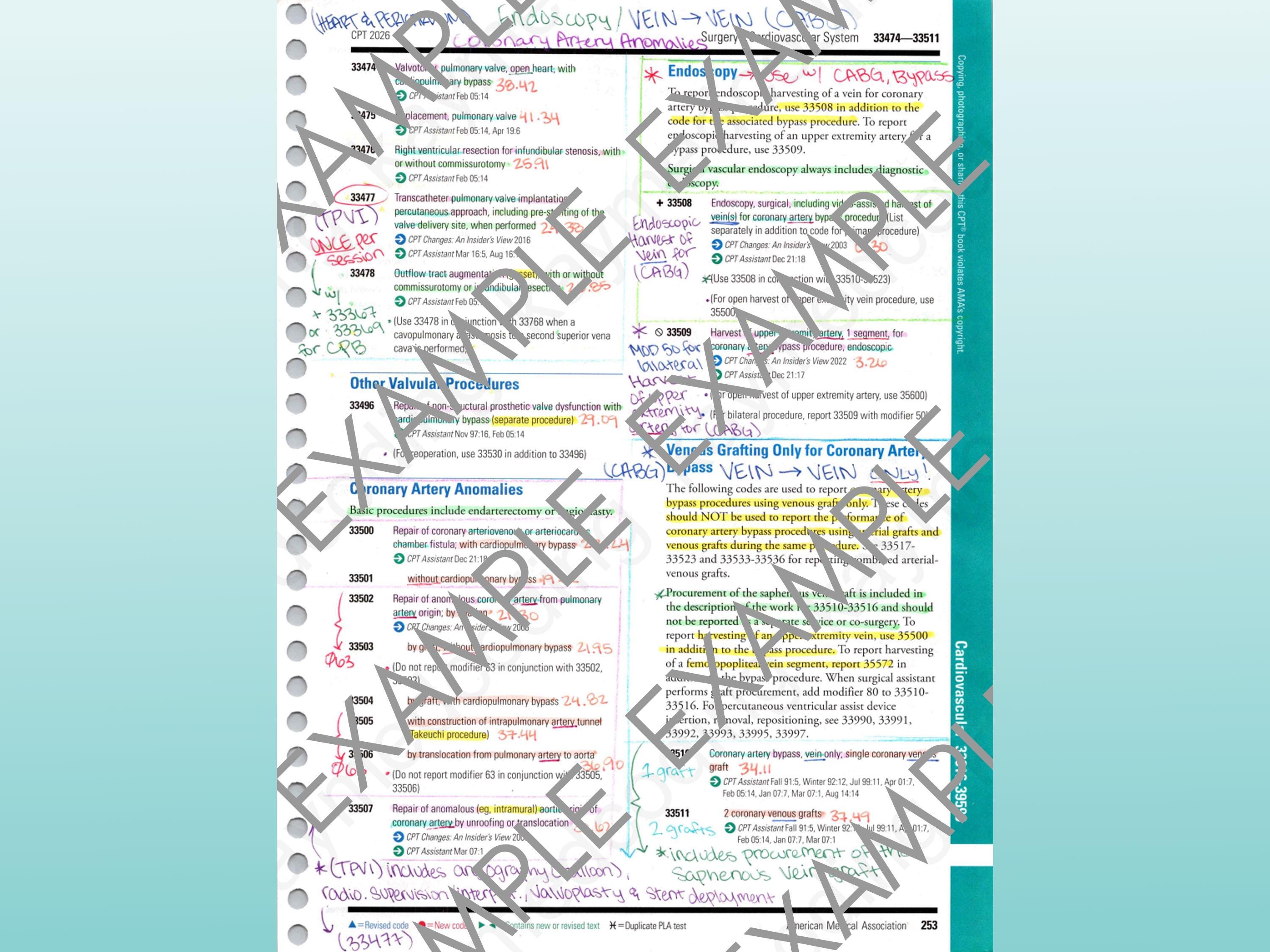 2026 CPT Surgery Cardiovascular System Book Notes - Etsy