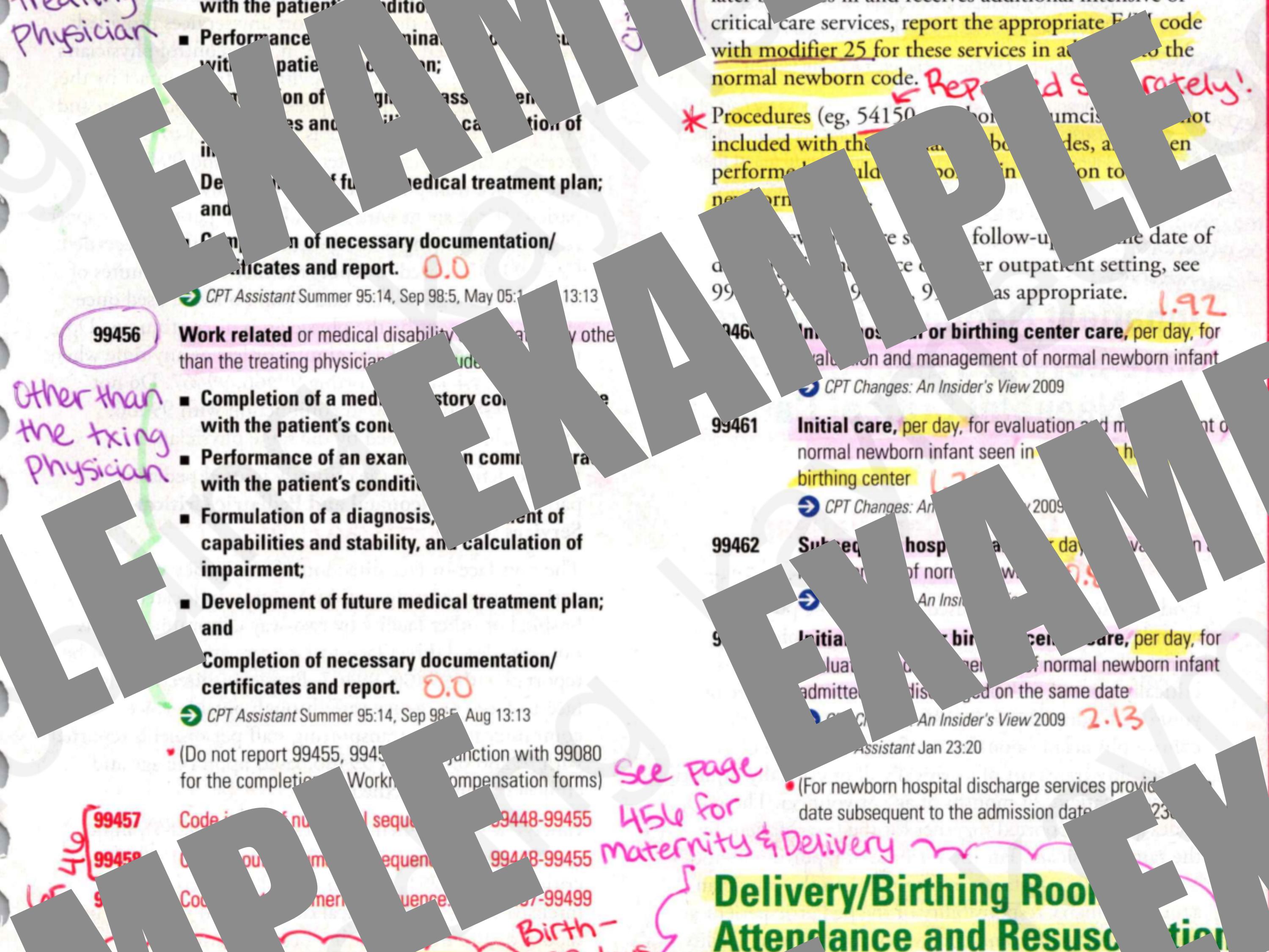 2025 CPT Evaluation and Management CPT Book Notes - Etsy