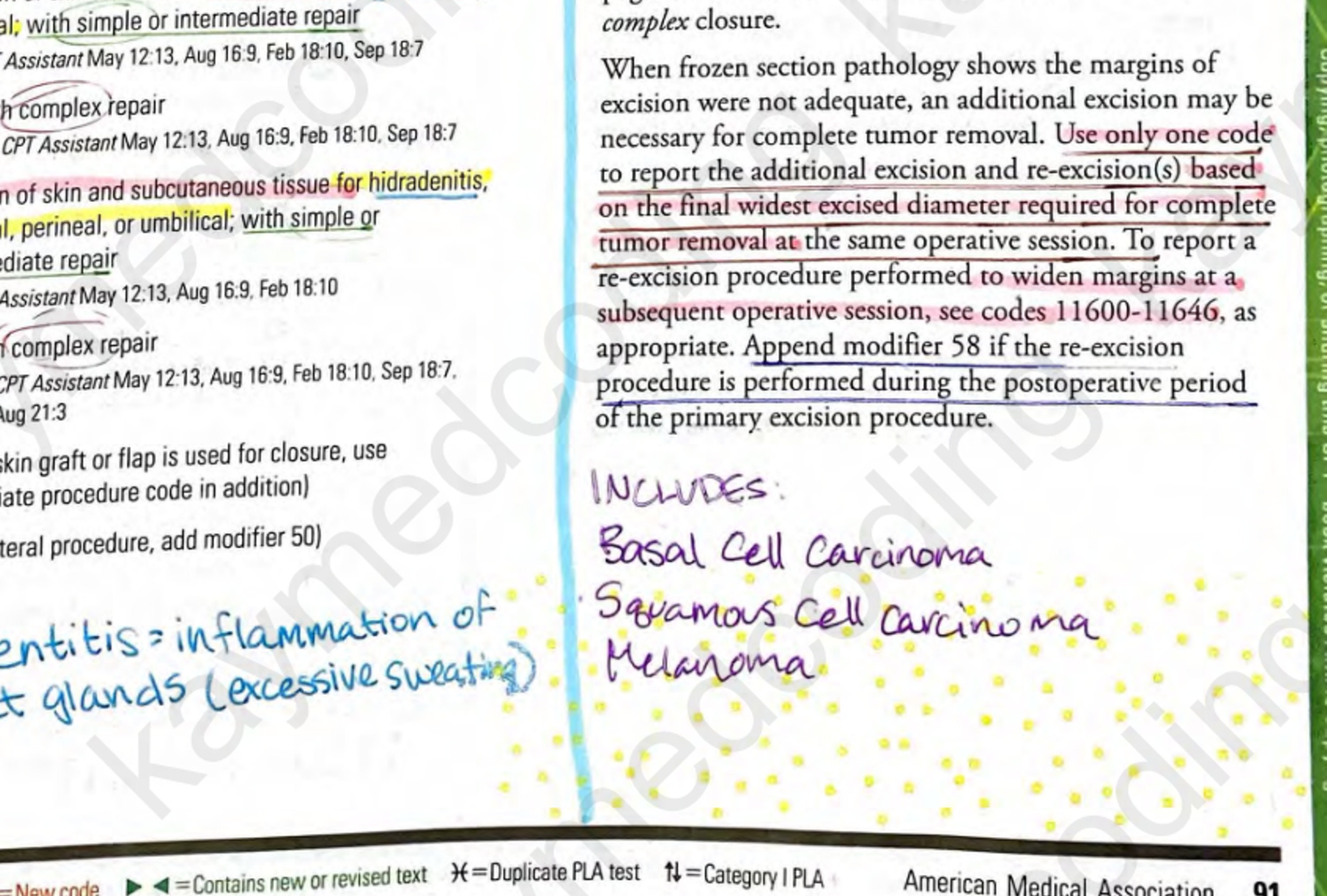 2024 CPT Surgery / Integumentary System Book Notes - Etsy
