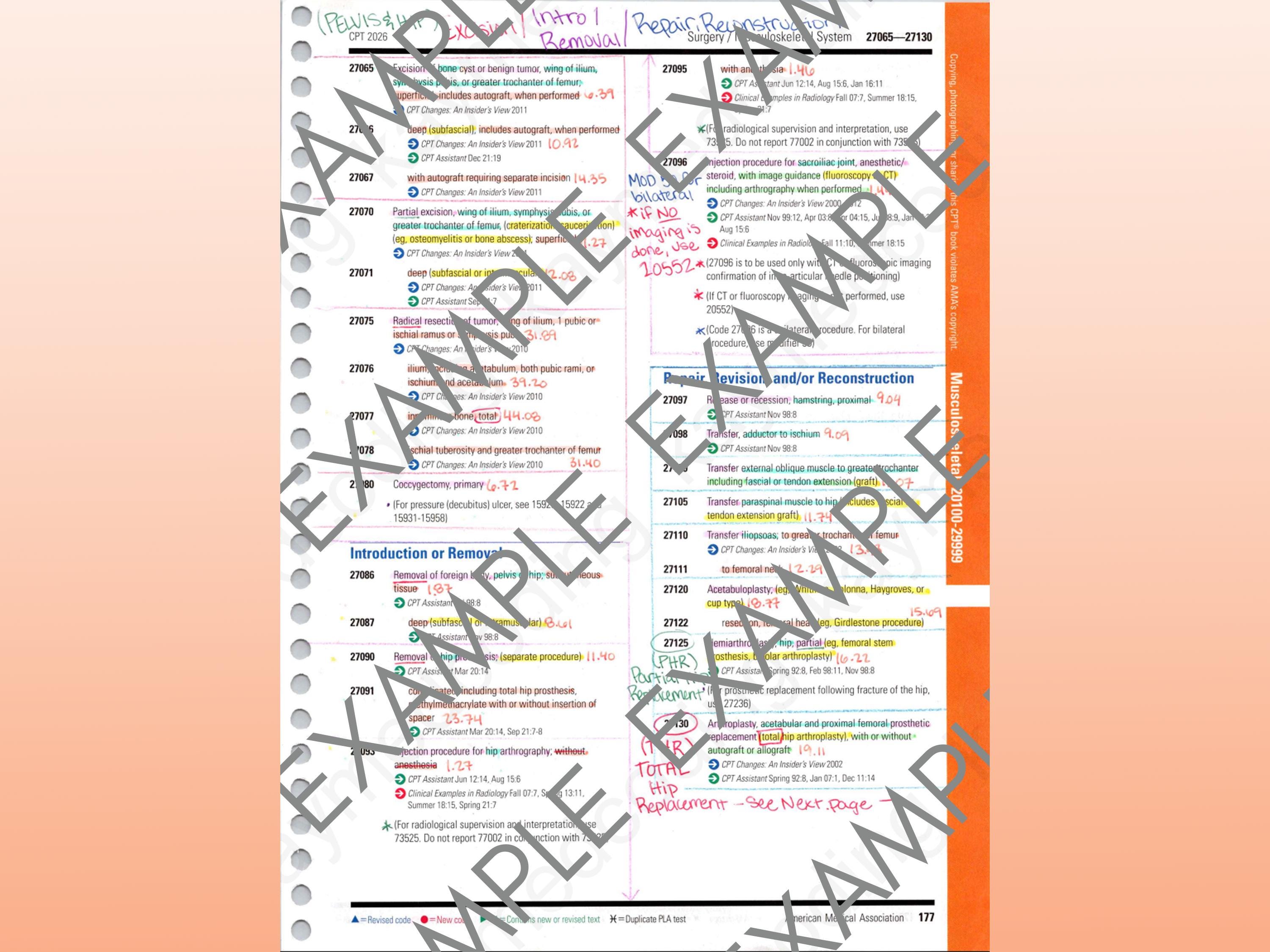 2026 CPT Surgery Musculoskeletal System Book Notes - Etsy