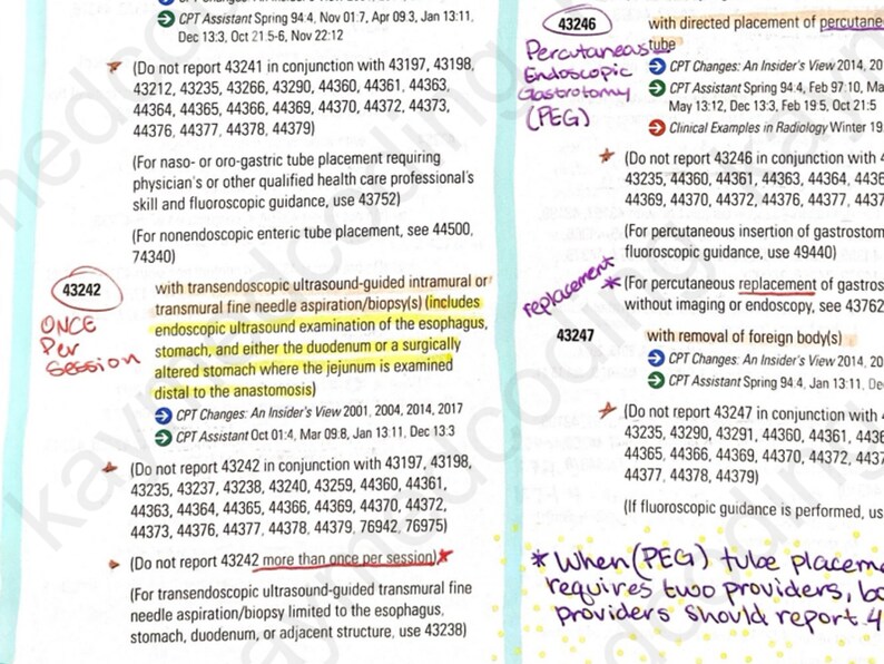 2024 CPT Surgery / the DIGESTIVE System - CPT Book Notes - Etsy