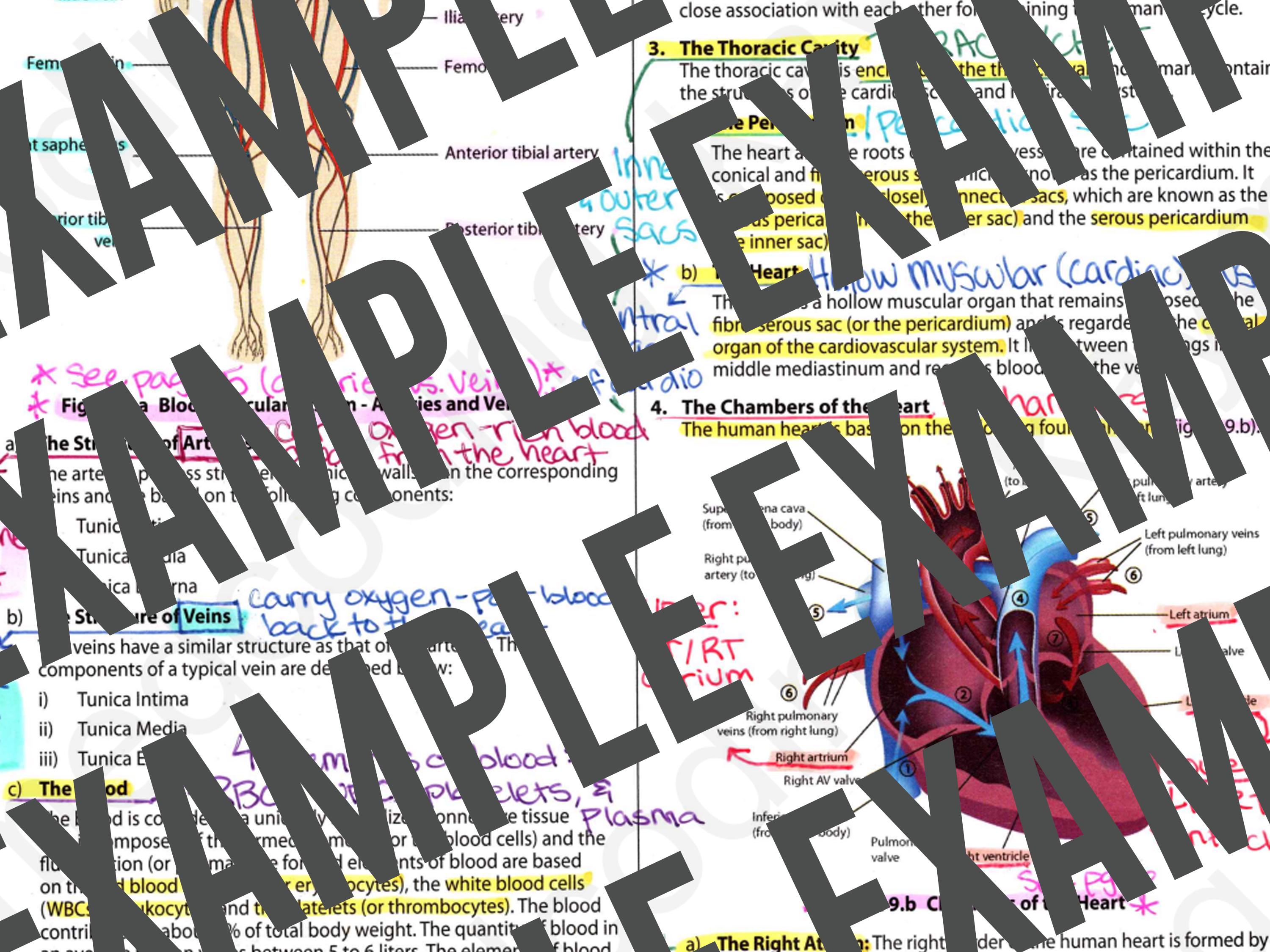 ICD-10-CM Chapter 9 Book Notes: Circulatory & Lymphatic System (2026 ...