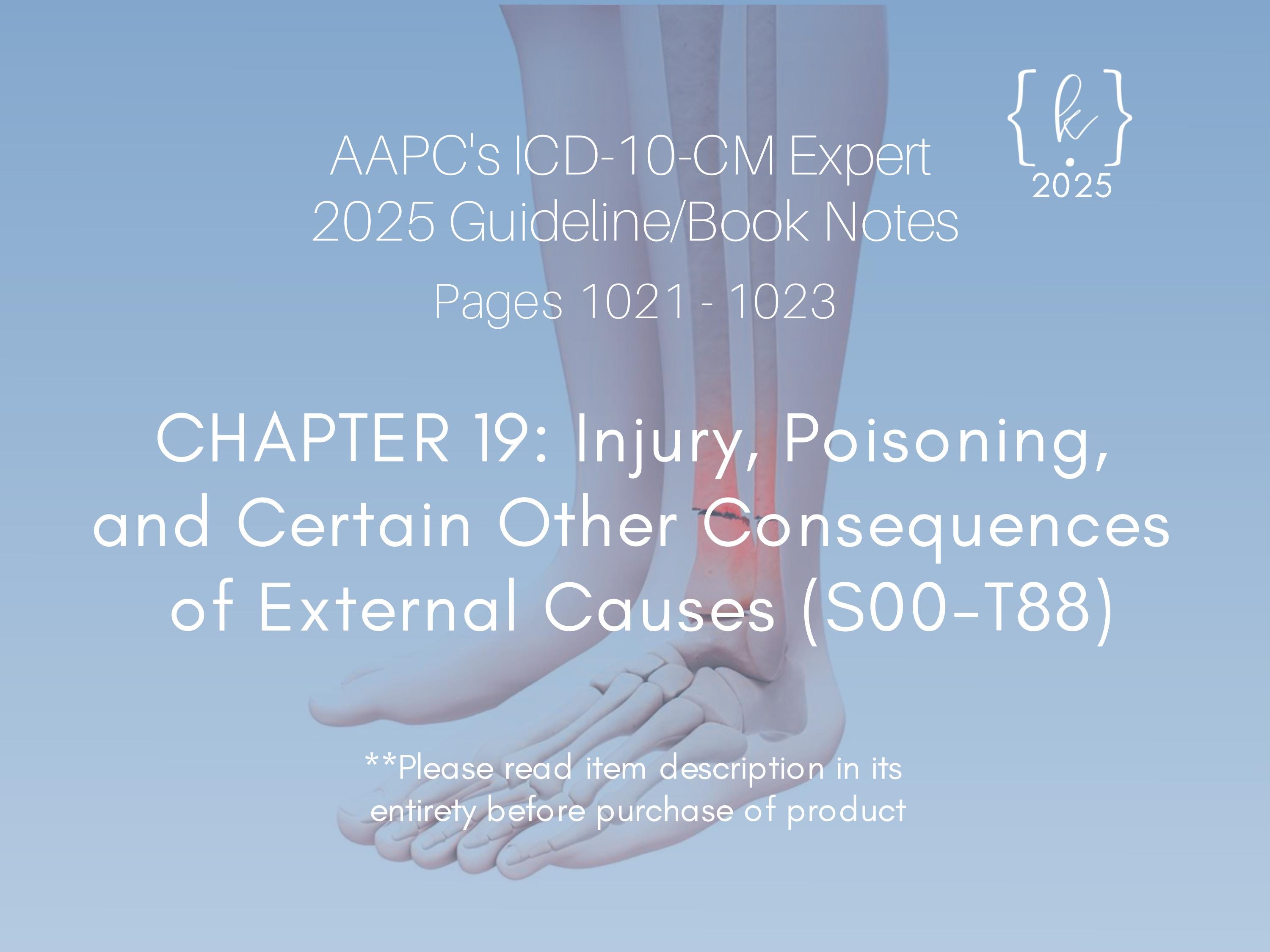 2025 ICD10CM Chapter 19 Injury, Poisoning, and Certain Other