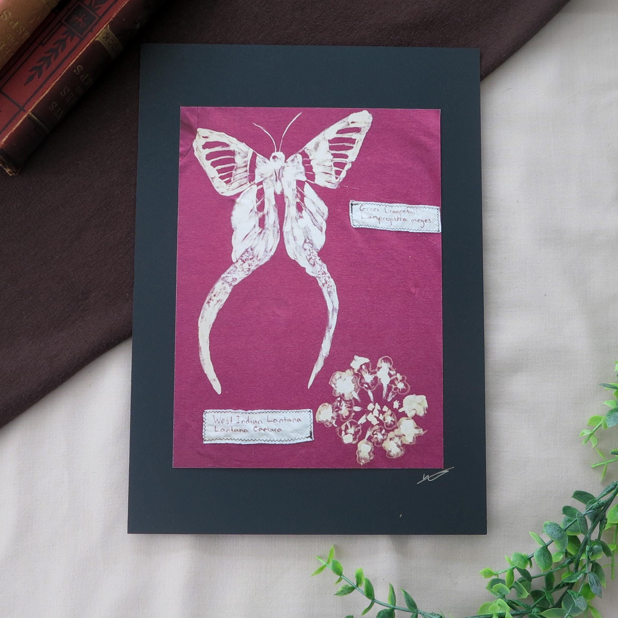 Dragontail butterfly - Etsy 日本