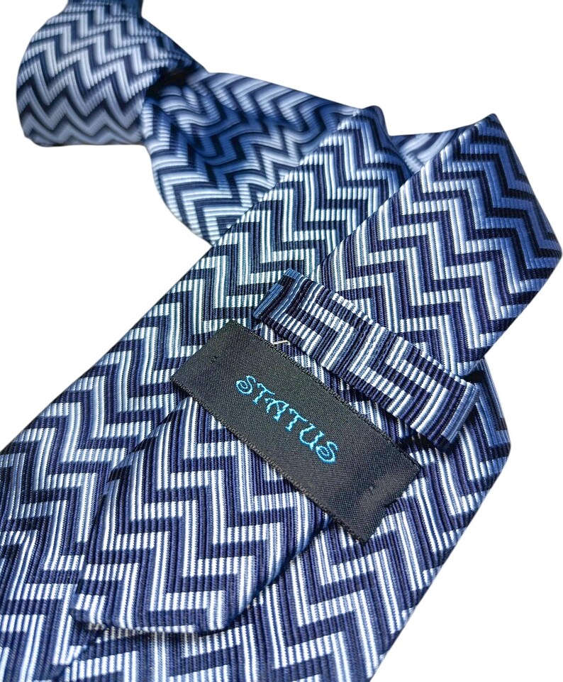 May include: A blue and white patterned tie with a zigzag design. The tie features a label with the word "STATUS" in teal script. The tie is made of a shiny material.