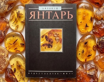 Vintage Amber Book | Russian Gemology Reference Guide | Fossil Insect Illustrations | Rock Collector Gift