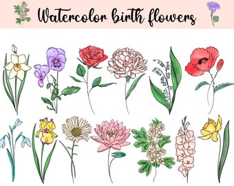 Watercolour birth month flowers png clipart, floral clipart, peonies, roses, poppy, chrysanthemum png, gift for Mothers Day diy, flowers png