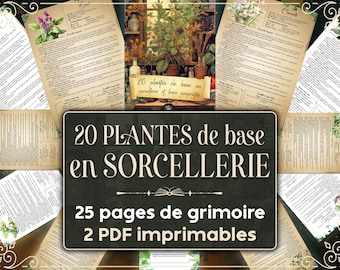 Grimoire 20 plantes de base en sorcellerie et leurs propriétés magiques