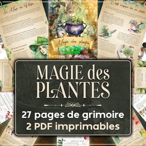 Peut inclure: Une collection de pages d'un grimoire ou livre de sorts avec des illustrations à l'aquarelle de plantes et d'herbes. Le titre du livre est "Magie des Plantes" et le texte ci-dessous indique "27 pages de grimoire 2 PDF imprimables".