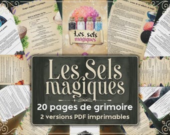 Grimoire des Sels magiques,  le guide complet des sorcières et sorciers modernes
