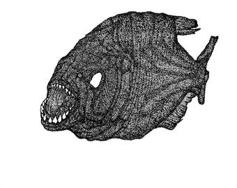 May include: Black and white illustration of a fish with sharp teeth and a large mouth.
