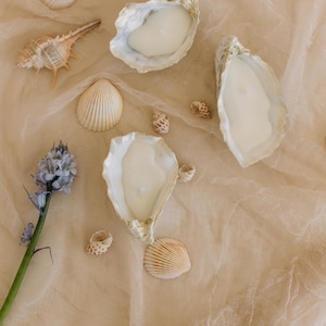 3 Oyster candles Oyster shells oyster candles home decor beach house decor oyster shell soy candles set of  3 candles aesthetic summer decor