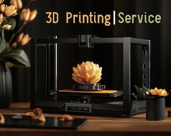 3D Printing Service | On Demand 3D Printing | Premium 3D Printing | Multicolor Printing