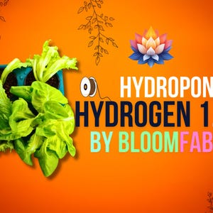 HydroGen 3D | DIY Hydroponics Kit | 4 Plants | Indoor & Outdoor Farming | Self-Watering | No-soil Kratky Method | 3D-Printable | By BloomFab
