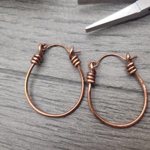 May include: A pair of copper hoop earrings with a twisted wire design. The earrings are simple and elegant, and would make a great gift for any occasion.