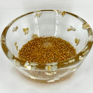 Popcorn Bowl!