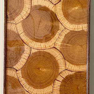 Puede incluir: Bandeja rectangular de madera con un diseño de mosaico hecho de rodajas de madera circulares. Las rodajas de madera son de color marrón claro con anillos marrones más oscuros, creando una superficie natural y texturizada. La bandeja tiene un marco marrón oscuro.