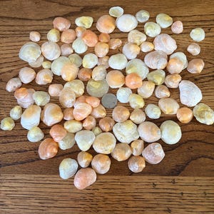 Jingle shells mixed sized orange yellow translucent mermaid toe nails, saddle oysters lot of 95+ J27