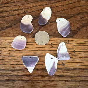 Drilled Wampum shells genuine purple pre-drilled medium size lot of 7 quahog Indian shell Jewelry wampum pendant B49