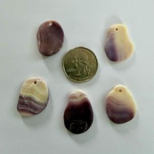 Peut inclure: Cinq pendentifs en coquillage lisses et de forme irrégulière avec des dégradés de couleurs violet et crème, chacun doté d'un petit trou percé au sommet. Une pièce de 25 cents américaine est placée au centre pour l'échelle, mesurant 24,26 mm.