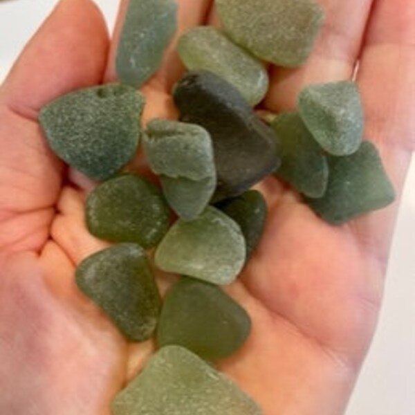 Beach glass olive color authentic frosted surf tumbled small/medium sizes Lot of 19 genuine