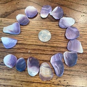 May include: A collection of polished, purple and white stones arranged in a circle around a quarter coin on a wooden surface. The stones vary in size and shape, showcasing natural patterns and colors.