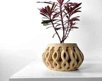 Unique Succulent Planter Pot for Indoor and Home Decor, Office Decor, Shelf Decor, Modern Flower Pot with Drainage, 3d Printed Planter