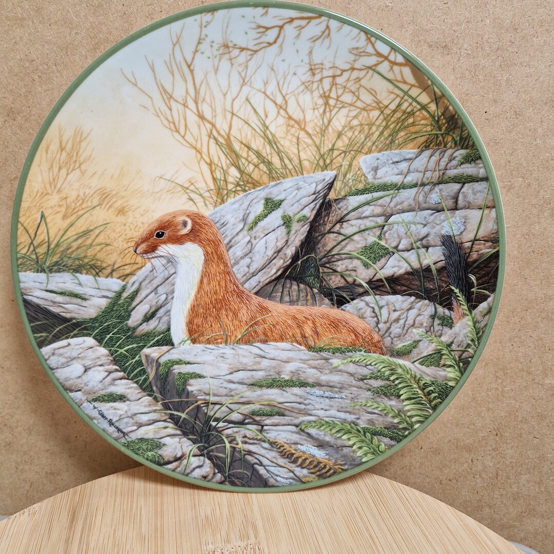 A Stoat on the Alert Vintage Plate From Royal Doulton Bradex Rollinsons ...