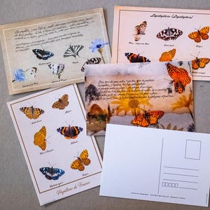 Cartes postales Papillons