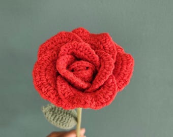 Fleur de Rose,fleurs éternelles, fait main, fleurs au crochet. Rose