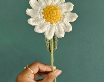 Fleur de marguerite, fleurs éternelles, fait main, fleurs au crochet.