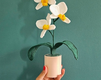 Petit pot de fleur d'orchidée, fait main au crochet. Orchidées blanche.