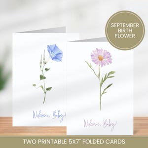 Afdrukbare babyshowerkaart voor nieuwe ouders, welkomstbabykaart, geboortemaand september bloem, aquarel aster Morning Glory cadeau voor pasgeborene