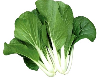 200+ Seeds Pechay / White Stem Pak Choy NON GMO