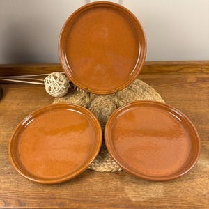 Pode incluir: Três pratos redondos de cor terracota com superfícies salpicadas são dispostos sobre uma mesa de madeira. Os pratos têm uma borda ligeiramente elevada e um acabamento brilhante. Os pratos são exibidos sobre uma esteira tecida.