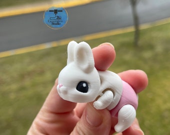 Cute 3D Printed Bunny with Easter Egg | 3D Printed Fidget Bunny in Reusable Egg | Basket Stuffer | Easter Bunny rabbit fidget toy Baby Bunny