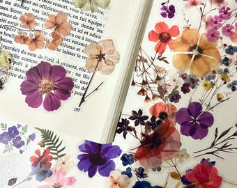 Pressed Flower Stickers –  Wildflowers & Dried Flowers Stickers for Scrapbooking, Botanical Floral Decals Set for Journaling and DIY Crafts