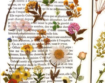 Pressed Wildflower Stickers Set: Clear Floral Decals for Journaling, Water Bottles and DIY Crafts