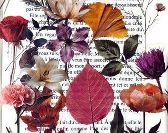 Pressed Wildflower Stickers – Waterproof Botanical & Dried Flower Decals for Journals and DIY Crafts