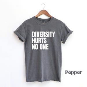 Diversity Hurts No One Shirt, Activism Equal Rights, LGBTQ Pride Shirt, Social Justice, Human Rights, Anti Racism, Progressive Shirt
