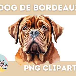 Aquarel hondenportret, hond de bordeaux, digitale png-afbeelding, png-ontwerpen, sublimatieontwerpen, hond clipart, digitaal, hondenkop png